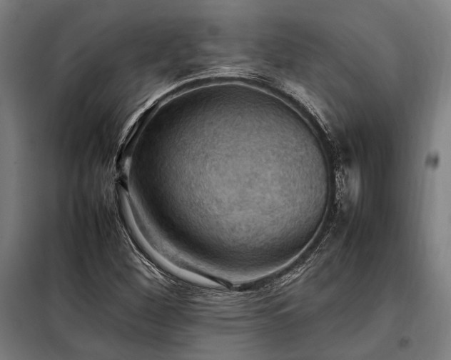 X0000098001260200804021023