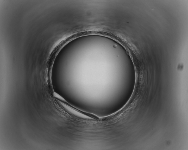 X0000098001262200804021023