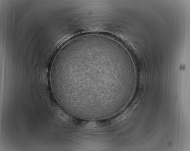 X0000098001265200804021023
