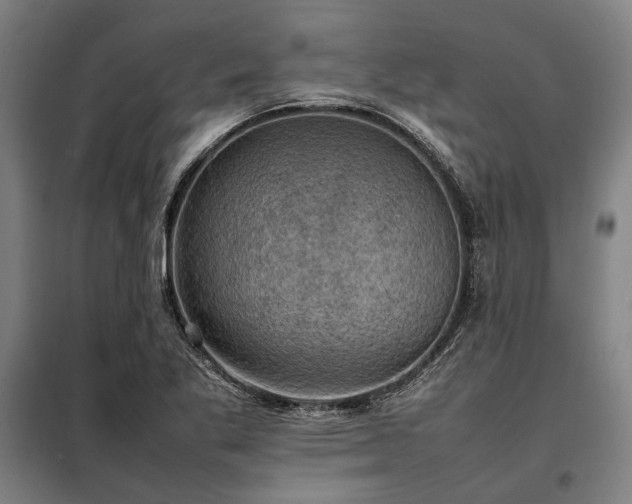 X0000098001269200804021023