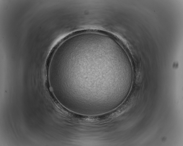 X0000098001271200804021023