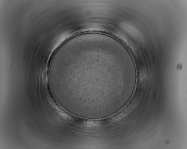 X0000098001274200804021023