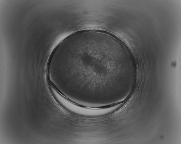 X0000098001277200804021023