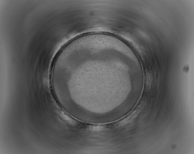 X0000098001278200804021023
