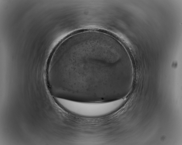 X0000098001279200804021023