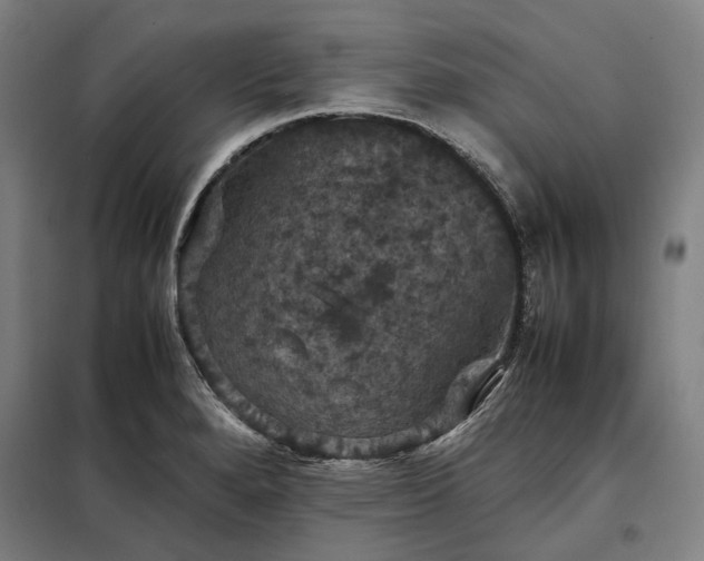 X0000098001280200804021023