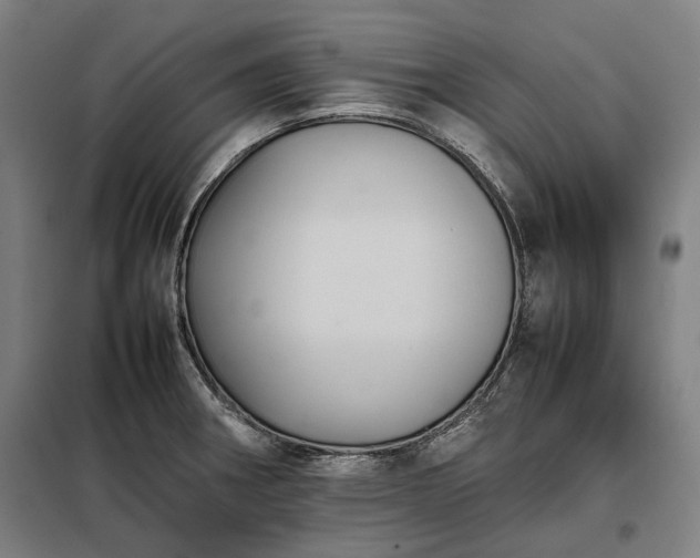 X0000098001282200804021023
