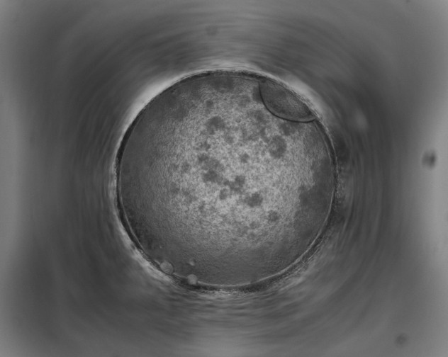 X0000098001287200804021023