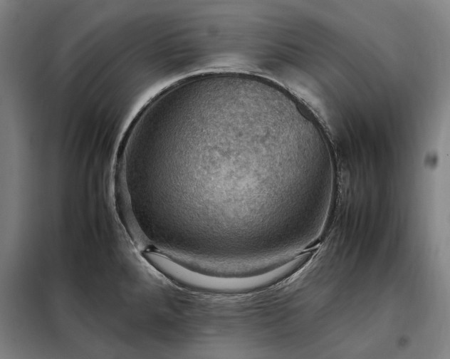 X0000098001288200804021023