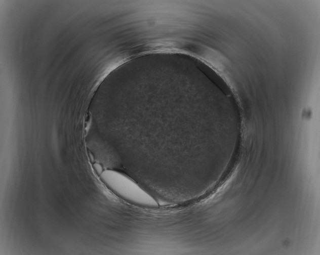 X0000098001289200804021023