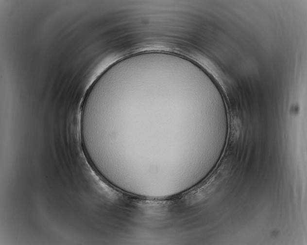 X0000098001290200804021023