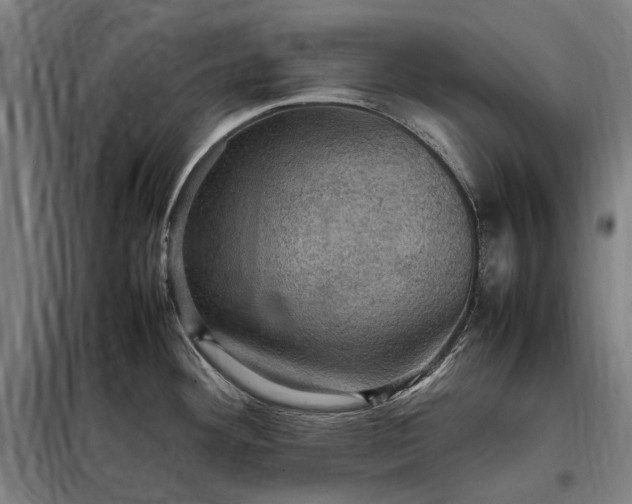 X0000098001292200804021023