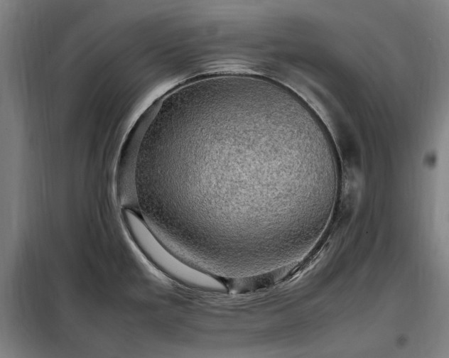 X0000098001293200804021023