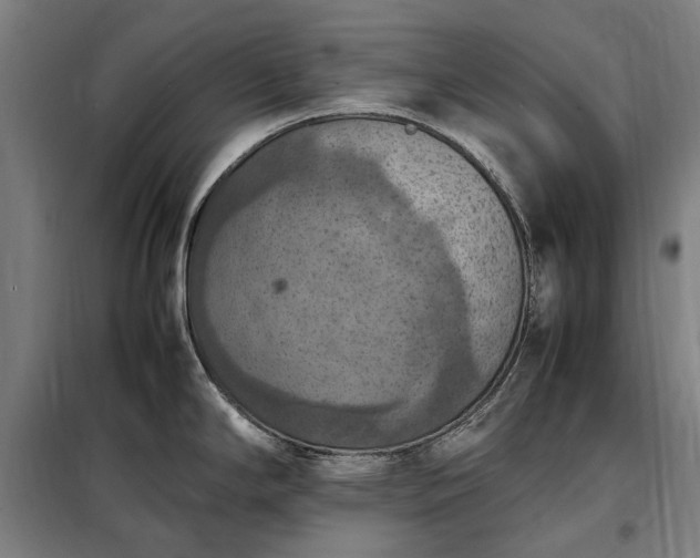 X0000098001294200804021023