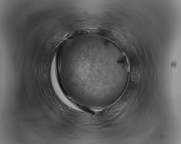 X0000098001298200804021022