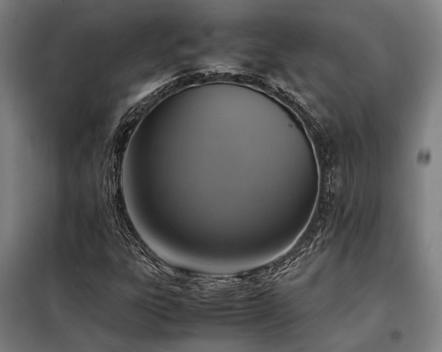 X0000098001303200804021022