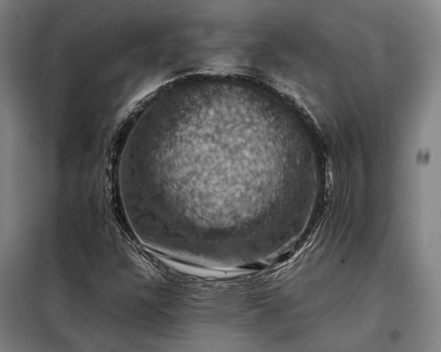 X0000098001304200804021022