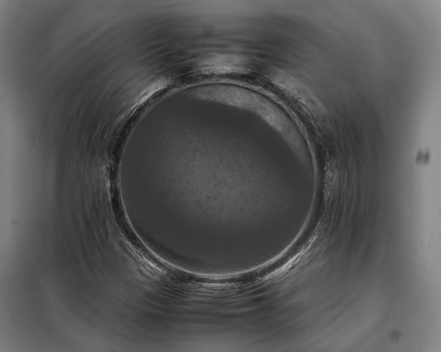 X0000098001305200804021022