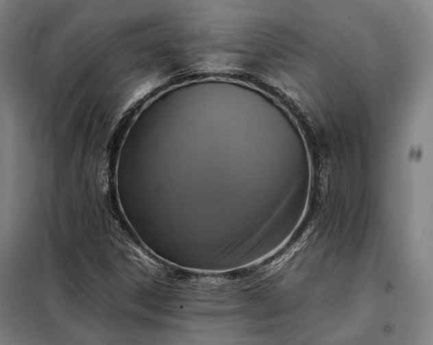 X0000098001306200804021022