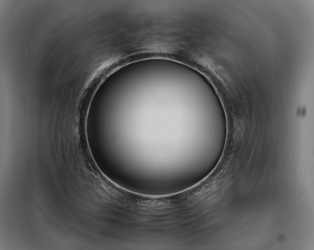 X0000098001307200804021022