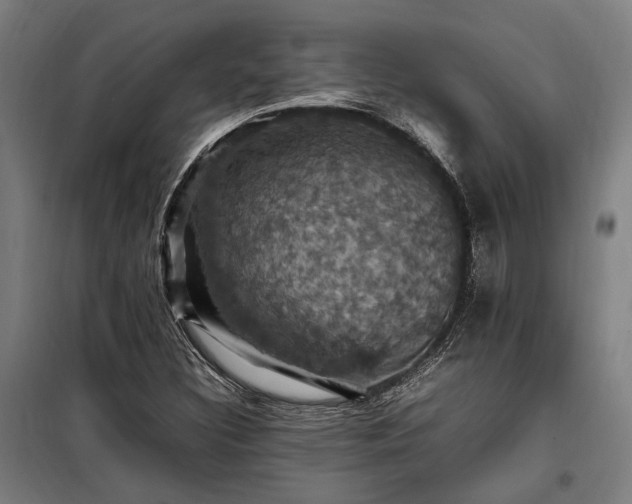 X0000098001308200804021022