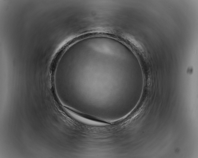 X0000098001310200804021022