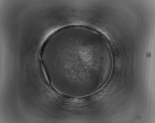 X0000098001311200804021022