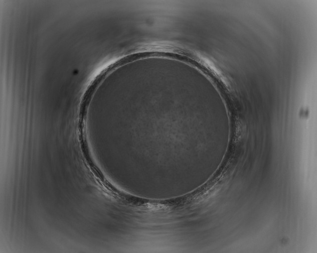 X0000098001312200804021022