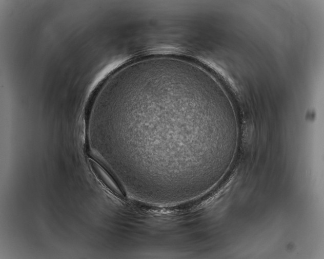 X0000098001317200804021022