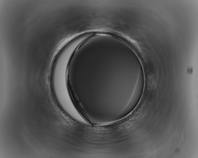 X0000098001319200804021022