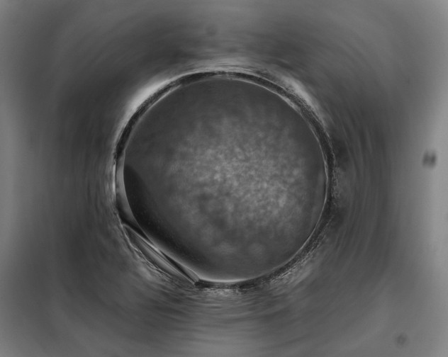 X0000098001320200804021022