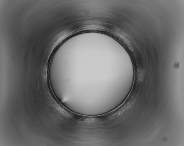 X0000098001322200804021022