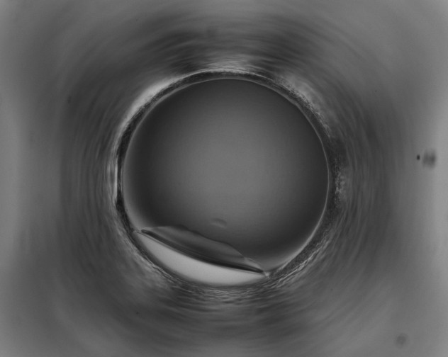 X0000098001323200804021022