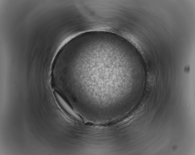 X0000098001324200804021022