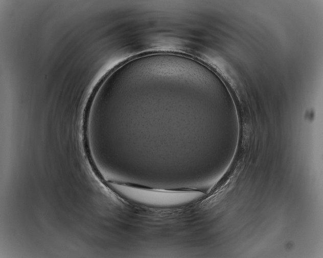 X0000098001331200804021022