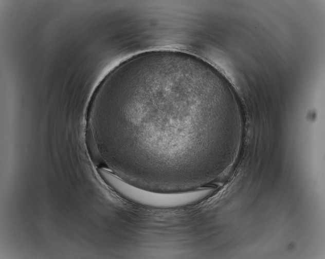 X0000098001332200804021022