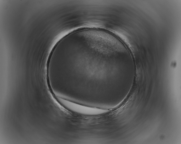 X0000098001335200804021022