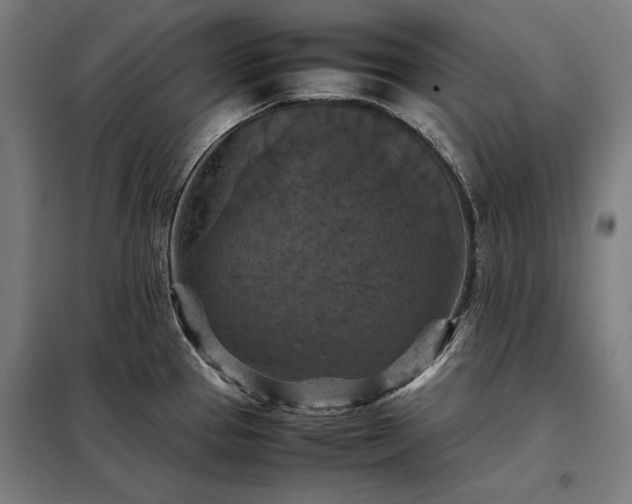 X0000098001337200804021023