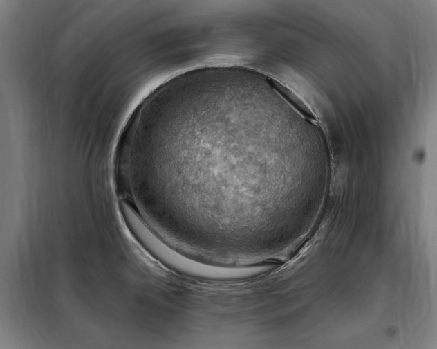 X0000098001342200804021023