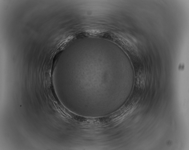 X0000098001346200804021022