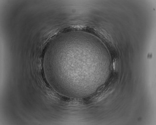 X0000098001347200804021022