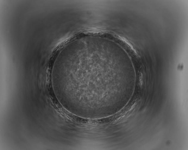 X0000098001350200804021022