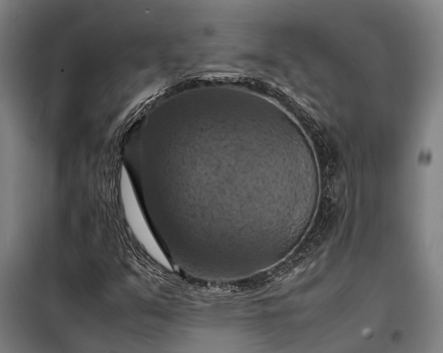 X0000098001351200804021022