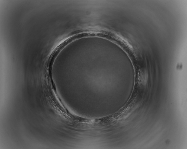 X0000098001352200804021022