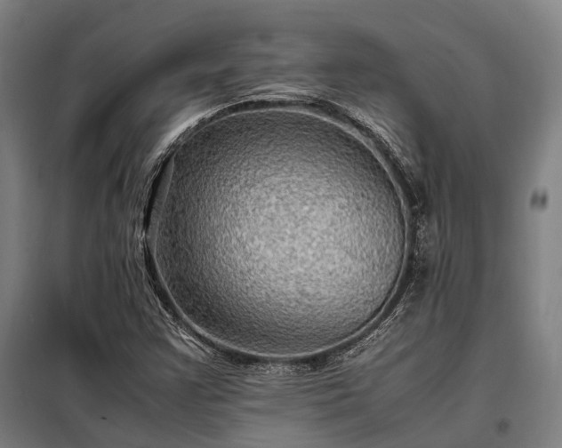 X0000098001355200804021022
