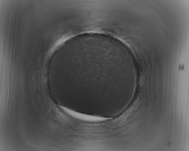 X0000098001359200804021022