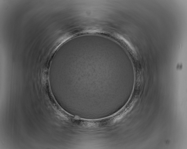 X0000098001361200804021022
