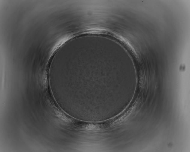 X0000098001362200804021022