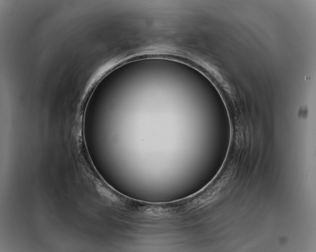 X0000098001366200804021021