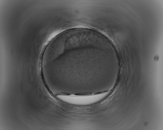 X0000098001367200804021021